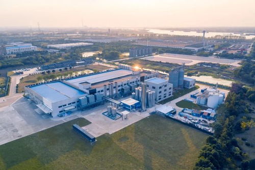 燕麥奶巨頭Oatly 2021年財(cái)報(bào)解讀 總收入超6億美元，為何能超越市場(chǎng)預(yù)期？
